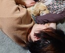 あなたの苦悩、苦しみあなたと一緒に受け止めます 1人で抱え込まず、どうか少しでも声に出してみてください イメージ1