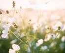 身近な人に話しづらいお悩みや愚痴聞きます 【誰かに聞いてほしい、想いを吐き出したい、とことん聞きます】 イメージ3
