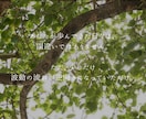 ブッダ霊視で貴方の『今』を視たまま伝えます 動かない現実を好転へ導くあなた専用の霊視鑑定・波動診断 イメージ9