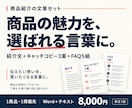 商品の魅力が伝わる紹介文をまとめて作ります 紹介文・キャッチコピー・よくある質問を一式作成 イメージ1