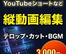 YouTubeショートを編集します 「テンポ」と「間」を整えて最後まで見やすくします イメージ1