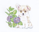 可愛いペット似顔絵お描きします ＊カラフル＊シンプル＊お客様好みに＊思い出をイラストに＊ イメージ1