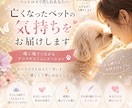 亡くなったペットの気持ちをお届けします ペットとの別れは“終わり”ではなく、新しい絆の始まり✨ イメージ1