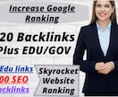 手動で安全なSEOを行います 100本の安全高品質SEOバックリンク イメージ1