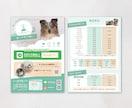 犬猫ペット関連特化！飼い主に届くチラシ制作します 元ペット業界デザイナーが、飼い主の心に届くチラシをデザイン イメージ7