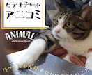 アニマルコミュニケーションで動物の気持ちを聞きます ペットちゃんがあなたに伝えたいことがあるようです。 イメージ1