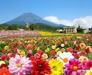 タイムセール　あなたが生まれてきた意味を教えます あなたの使命は、なんですか？１日限定　１名様鑑定 イメージ5
