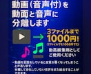 動画音声分離！動画（無音）と音声に分離します 動画編集用にご使用ください。！ イメージ1