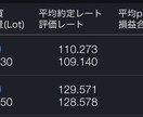 FXマンツーマン個人指導（初回特価にて）致します プロ（食えてる）現役トレーダーがまずは３名限定で教えます イメージ2