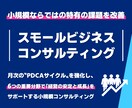 スモールビジネスの専門家が経営改善をサポートします 小規模ならではの課題を6つの重要分野で改善し経営の安定を実現 イメージ1