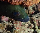 フリー素材提供します 海素材多め、風景など色々あります。 イメージ6