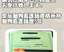 わんちゃん・猫ちゃんの全てのご相談承ります 夜間救急1.5次診療にて5年間従事した元動物看護師が答えます イメージ1