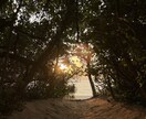あなたの心の涙を拭います 誰にも理解されない心の声を聴かせてください イメージ5
