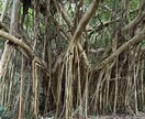 お話しをお聞きします 話し相手をお探しのあなたへただ話したい、お悩み、雑談等 イメージ1