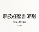 営業経験者が職務経歴書を添削します 採用視点で“通る書類”に整えます イメージ1