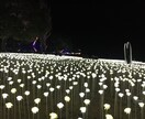 いじめ問題の悩みお聞きします ３人の子育て経験のある現役看護師が相談にのります イメージ1
