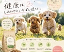 プロ級の広告・SNS投稿デザイン作成します 【修正無制限】集客・売上に直結する画像を作ります！ イメージ2