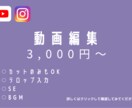 カット・テロップ編集承ります YouTube、その他SNS！ イメージ1