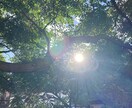 あなたのおはなし聴かせていただきます ふわっと笑顔になれますように♪ イメージ1