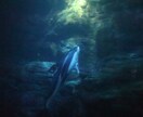 写真の素材を提供します 一眼レフで撮った写真を提供します。 イメージ4