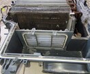 需要拡大中！洗濯機クリーニングプロの技術を教えます 身近な家電、洗濯機のプロになろう！ イメージ5