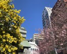 チャット3日間回数無制限！元介護士が寄り添います ～本音で話せるあなたの居場所～ イメージ4