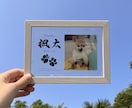 愛するペットへ【クリアメモリアルボード】作成します ペットとの思い出をインテリアとして飾れる！写真・肉球付き イメージ1