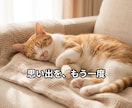 写真1枚で愛猫が動く動画制作します もう一度、あの幸せな時間に会える。 イメージ6
