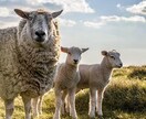 心の悩み答えます 20年のベテランが答えます！どんな悩みも気軽にご相談ください イメージ1