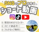丸投げOK！Tiktok等のショート動画編集します トレンドを抑えた編集でハイクオリティな動画を編集いたします！ イメージ1