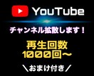 YouTube動画を安全に拡散します 再生回数1000回〜増やします【期間限定】おまけつき！ イメージ1