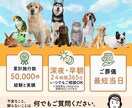 注目力のある集客や販売に強いLPを作成します LP作成だけでなく、可能な限り集客や販売のご相談も承ります！ イメージ2