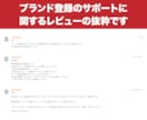 ブランド登録の審査でお困りの方、相談に乗ります 商標登録申請済の方Amazonセラー限定【初回相談限定】 イメージ2
