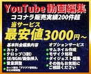 YouTubeの動画編集承ります シンプル編集なら当サービス最安値3000円～承ります。 イメージ1