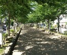 会社やアルバイトでのお悩みの相談にのります 前向きに、プラス思考でお話しましょう！！ イメージ10