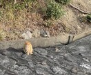 仕事や人間関係がつらい、不安な気持ちに寄り添います 職場の人間関係□仕事□愚痴□行きたくない朝 イメージ6