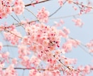 高次元霊視であなたを好きな人はいるか占います あなたを想う人を霊視しお伝えします。ご縁のきっかけを逃さない イメージ7