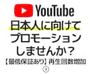 再生回数保証！日本人へ動画を宣伝します ”興味関心のある人”に宣伝しませんか？ イメージ1