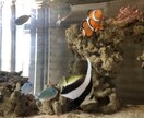 育児にお悩み中のママ、パパさん愚痴悩みなど聞きます 自分に余裕がないと、子供にも伝わりますよね‥私もそうでした イメージ1