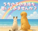 ペットの気持ちを霊感タロット占いで読み解きます 言葉にできない想いを、やさしく受け取ります イメージ1