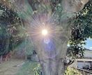 開運画像を販売します 神社やお寺、光、山や川や空、猫の画像で開運のお手伝いします！ イメージ5