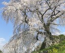 即日作成！国内の旅プラン・旅しおり作成します 行き先・日程・予算に合わせて、プロの旅人が最適プランを提案！ イメージ5