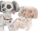 お手頃価格でペット×オシャレな花の絵描きます 爬虫類OK！お誕生日・記念・プレゼントに是非♪ イメージ3