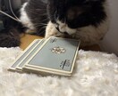 迷ったらこれ☆1 テーマをしっかりカード鑑定します 【1000円】恋愛・仕事・人間関係…幅広く占います★ イメージ2