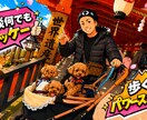 起業、独立、人生の相談受けます 自由で自分らしく有意義な生活にしたい、キャリアアップしたい イメージ1