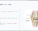 整形外科PT歴9年勉強会院内研修スライド作成します 整形外科理学療法士｜膝関節専門・勉強会講師 イメージ5