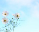 動画付き！あなたの恋愛相談・お話聞きます 1分でもOK✨辛い気持ち、嬉しい気持ち、一緒に寄り添います✨ イメージ4