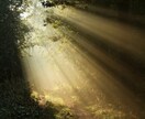夫婦の今とこれからを霊視で詠み解きます 再構築？離婚？後悔しない未来を一緒に見つけます イメージ9