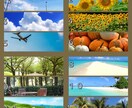 お洒落な写真とイラストで素敵なヘッダー作成します 選べる背景と可愛いイラストで、ユニークで鮮やかな印象に イメージ4