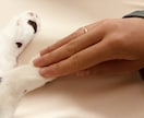 ペットロスでつらい方へ｜動物看護師がお話を伺います ペットロス経験者として3日間優しく気持ちに寄り添います。 イメージ4